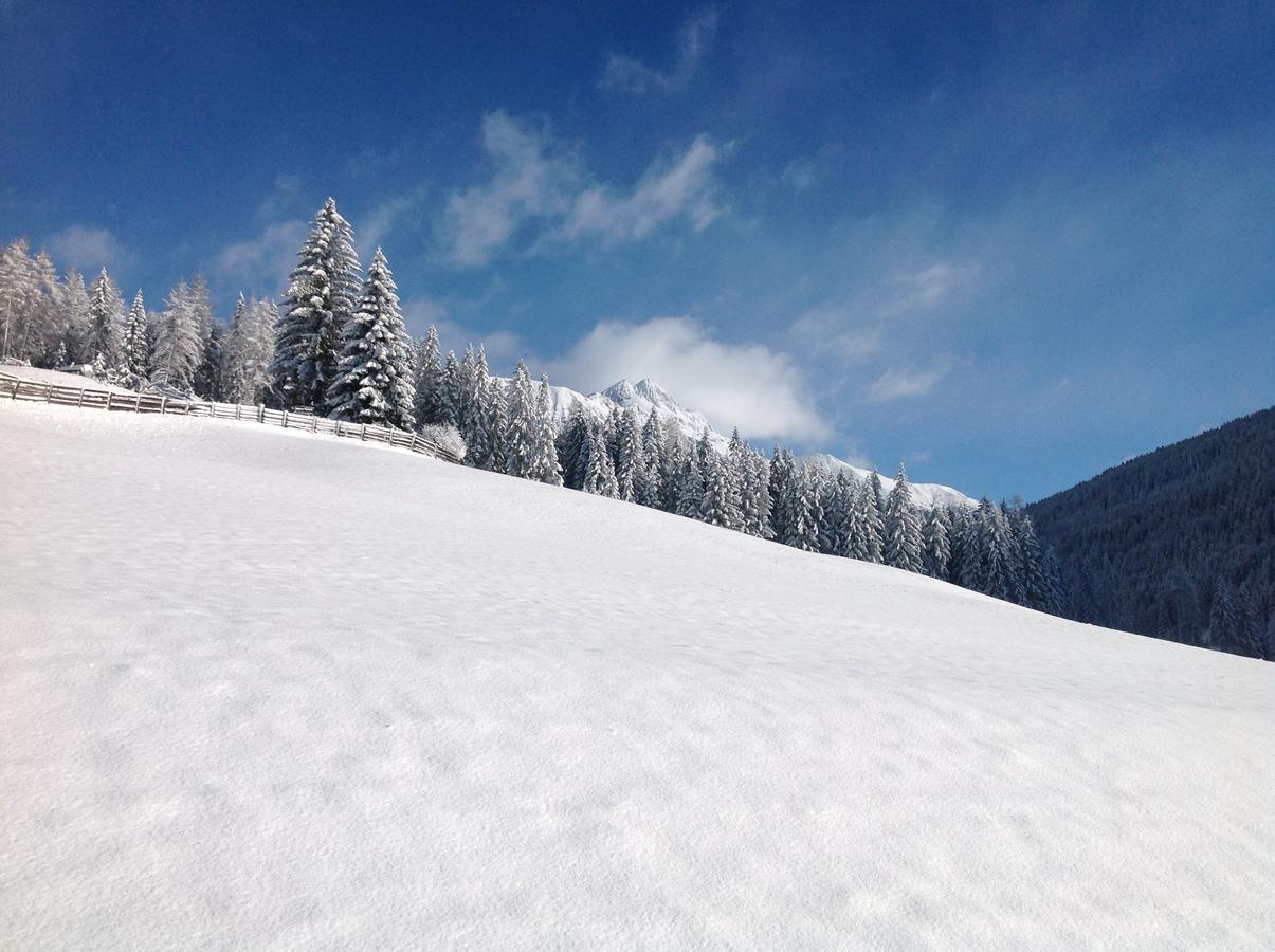 Biohof Hamann Villa Sarentino Exteriör bild